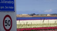 Julianadorp aan zee - Noord Holland