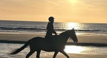 Am Strand in Julianadorp