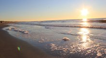 Julianadorp aan zee und Strand